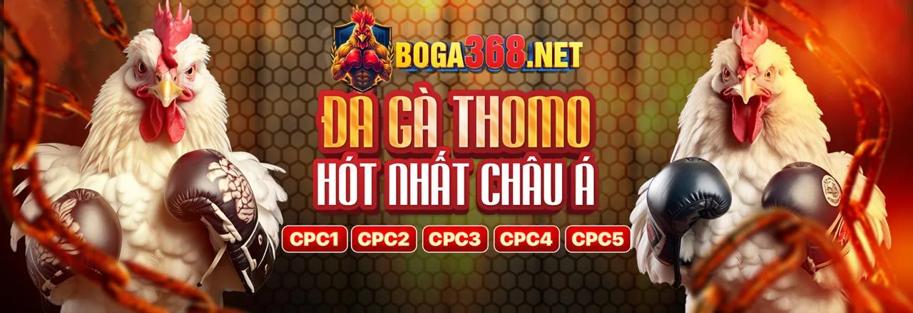 Casino trực tuyến FC888 APK